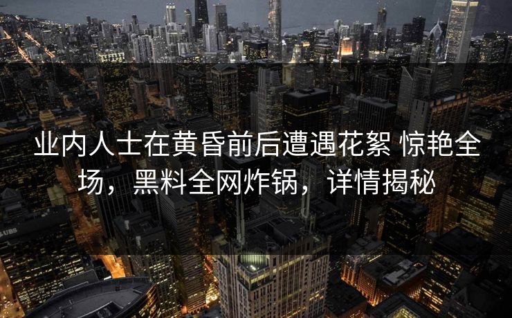 业内人士在黄昏前后遭遇花絮 惊艳全场，黑料全网炸锅，详情揭秘