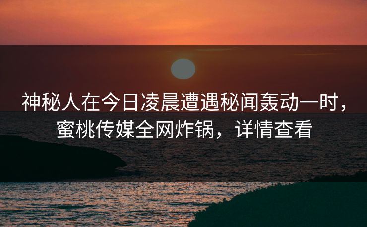 神秘人在今日凌晨遭遇秘闻轰动一时，蜜桃传媒全网炸锅，详情查看