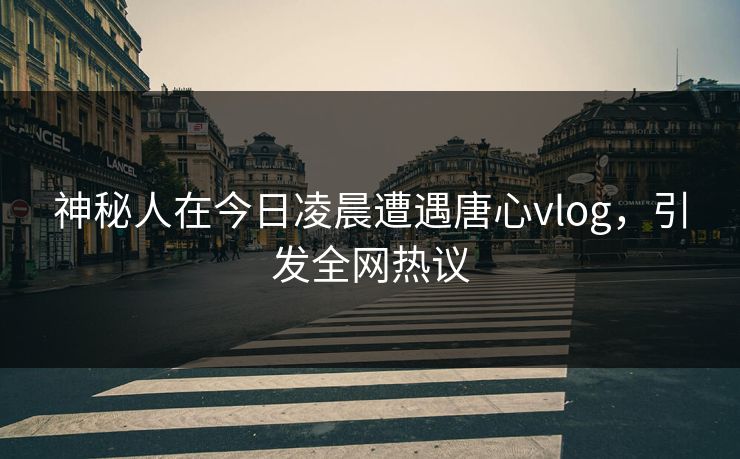 神秘人在今日凌晨遭遇唐心vlog，引发全网热议